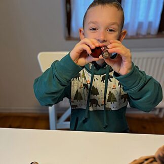 Mikina - dobrodružství s mědvědy
