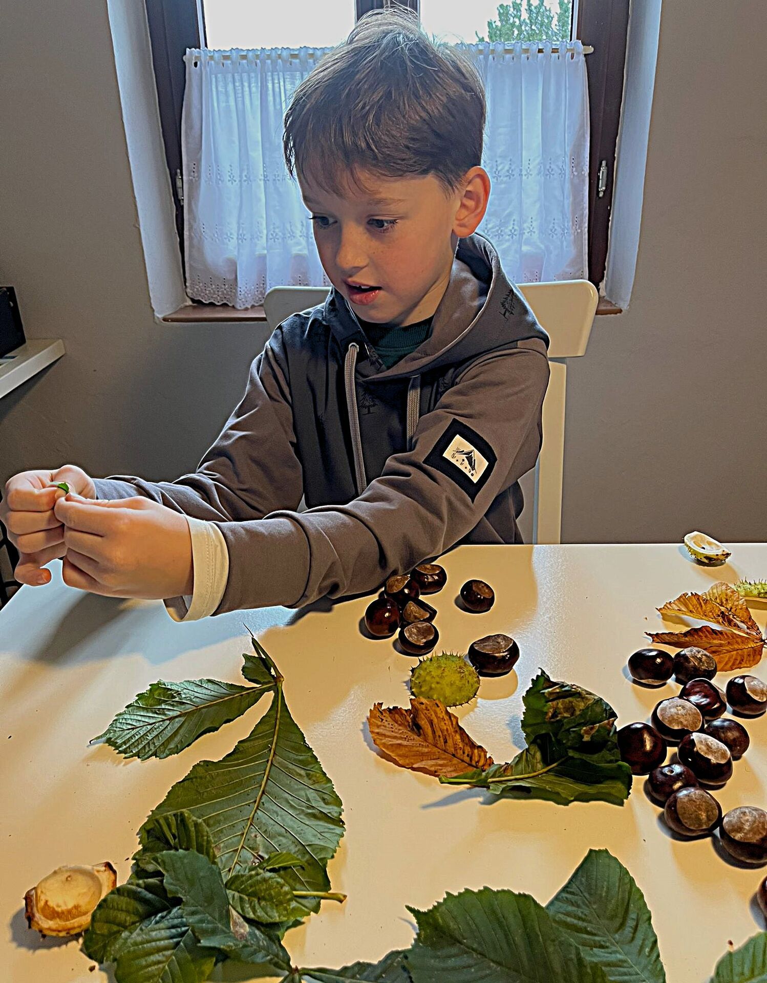 Mikina - Stromky na antracitu - Obrázek 5
