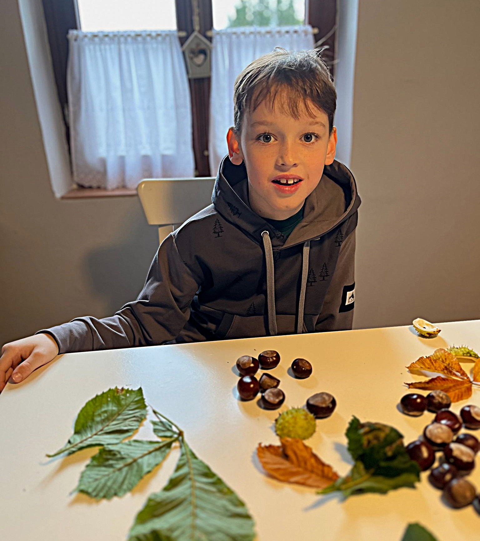 Mikina - Stromky na antracitu - Obrázek 4